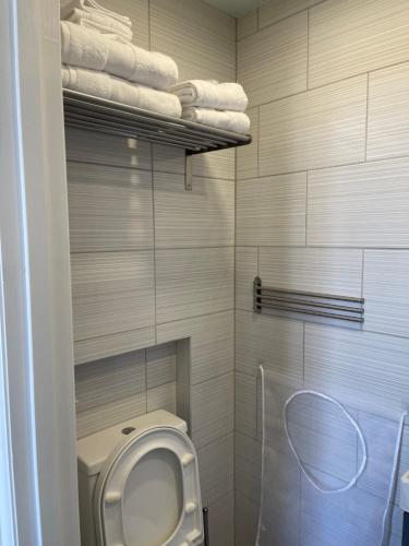 a bathroom with a toilet and towels on a shelf at Cosy Studio With Full Facilities. in London