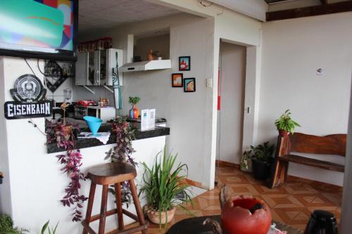 un salon avec un comptoir et quelques plantes dans l'établissement Pousada Torre dos Mouros, à Pirenópolis