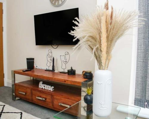 a living room with a tv and a vase with plants at No25-Luxe Living Guest House- 2 Bed-WIFI-Free Parking-City- Beach in Swansea