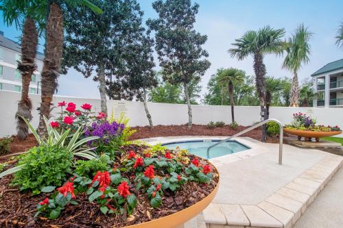 a garden with flowers and a swimming pool at Econo Lodge Inn & Suites Foley-North Gulf Shores in Foley