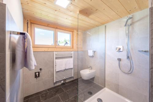 a bathroom with a shower and a toilet and a sink at Garni-Residence Villa Paul in Nova Ponente