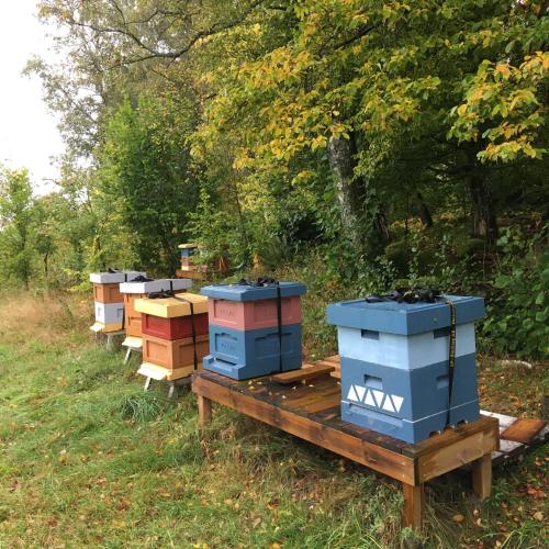 a row of beehives sitting on a table in a field at La Maison Rouge de Slätten Bed and Breakfast in Vilshult