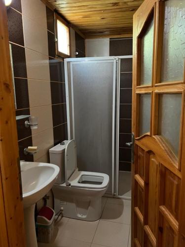 ein Bad mit einer Dusche, einem WC und einem Waschbecken in der Unterkunft Oran Ağaç Bungalovs in Kemer