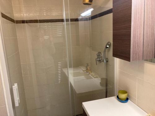 a bathroom with a shower with a sink and a toilet at Appartement Brides-les-Bains, 3 pièces, 4 personnes - FR-1-512-267 in Brides-les-Bains