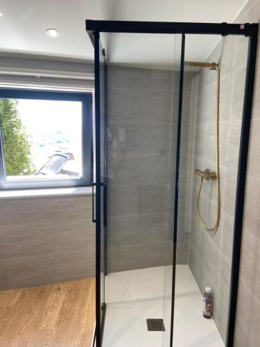 a shower with a glass door in a bathroom at Siente Muralla in Lugo