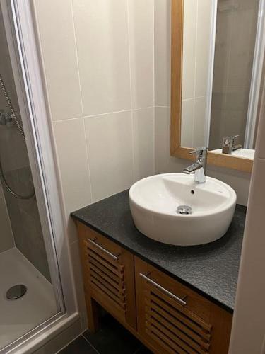 Gambar di galeri bagi Large premium alpine apartment for 4 to 8 people di Vallorcine