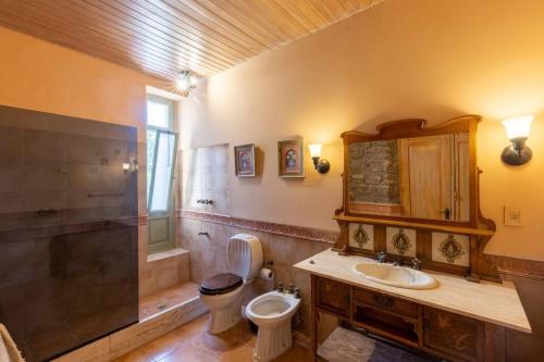 a bathroom with a toilet and a sink and a shower at La Manuela, Casa de Campo en las Sierras in Canepa