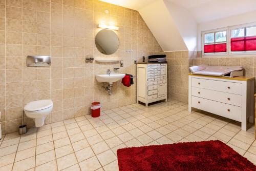 a bathroom with a toilet and a sink and a mirror at Altes Pfarrhaus in Vöhrenbach