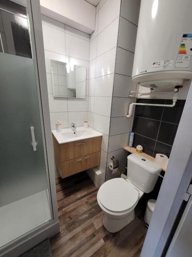 une petite salle de bain avec toilettes et lavabo dans l'établissement Studio plein centre-ville wifi, à Gérardmer