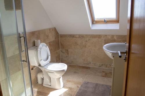 a bathroom with a toilet and a sink at Osher Apartment in Enniscorthy