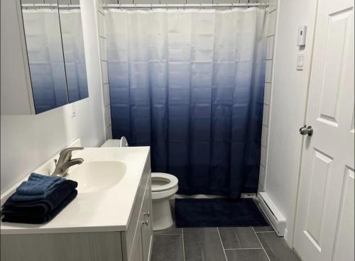 a bathroom with a shower and a sink and a toilet at Fantastique 3 chambres modernes au cœur de la ville in Montréal