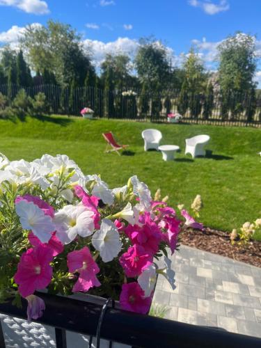 a view of a park with pink and white flowers at La Rose Residence in Mikołajki