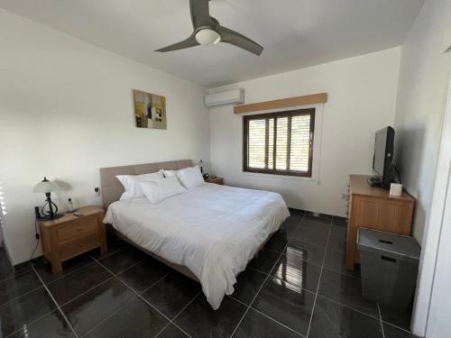 - une chambre avec un lit et une télévision à écran plat dans l'établissement Ultra deluxe Villa, à Kyrenia