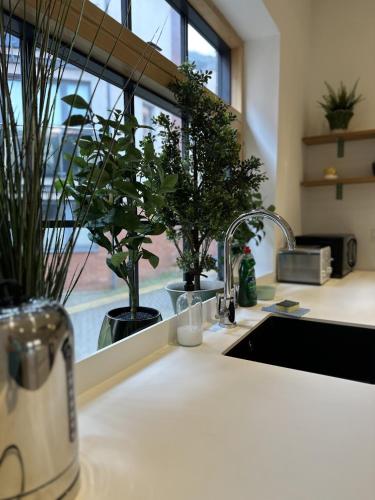Ideal Bristol getaway - 3 bed harbourside home photo 19