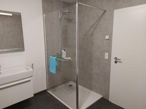 eine Dusche mit Glastür im Bad in der Unterkunft Several different rooms, newly furnished, in a new house in Vichten in Vichten