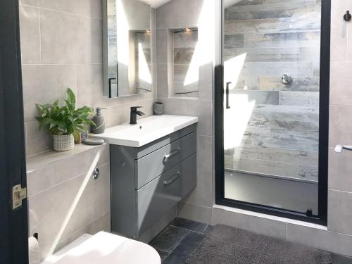 a bathroom with a sink and a mirror and a shower at Little Fursdon Apartment in Merrymeet
