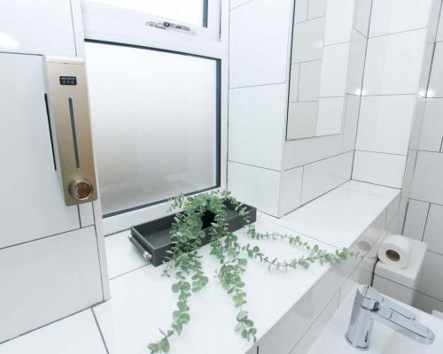 a bathroom with a mirror and a plant on the floor at Luxe Living Guest House-Sleeps 6-Private Parking-Free WIFI-Beach-City in Swansea
