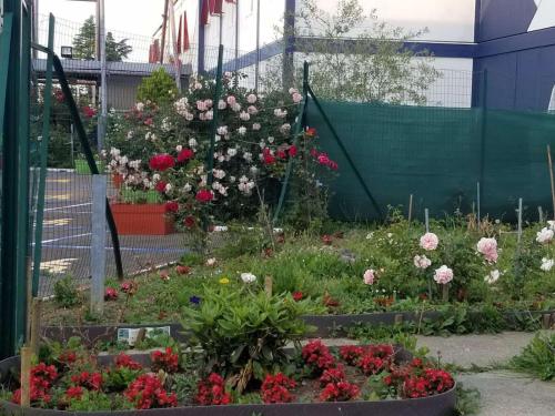 un jardín de flores frente a un edificio en N&Z HOTELS, en Trappes