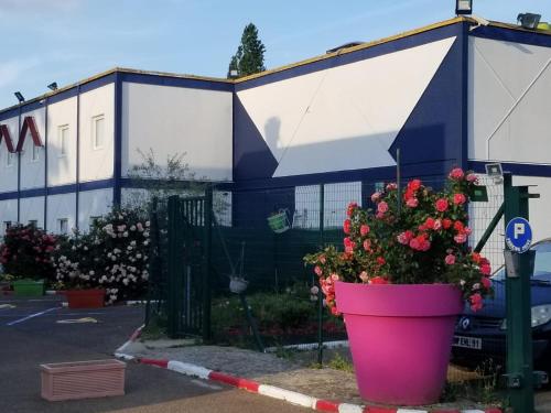 a large pot of flowers in front of a building at N&Z HOTELS in Trappes