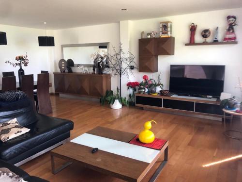 ein Wohnzimmer mit einem schwarzen Sofa und einem TV in der Unterkunft A de Bego in Mougás