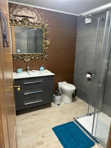 a bathroom with a shower and a sink and a toilet at www luabierzo in Molinaseca