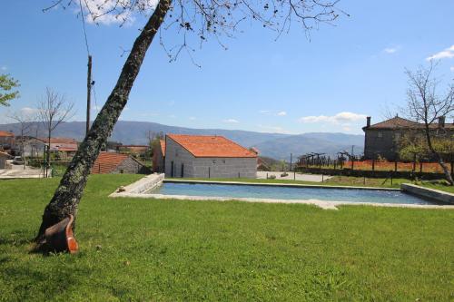 una piscina en un patio con un árbol en Casas do Campo da Moita en Baião