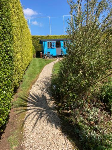 a gravel path leading to a blue tiny house at Atlantic Way Shepherd Hut in Moville
