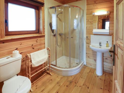 a bathroom with a shower and a toilet and a sink at Kingfisher Lodge in Market Rasen