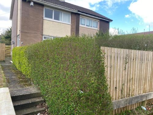 a hedge in front of a house with a fence at Culbin Lodge in Glasgow