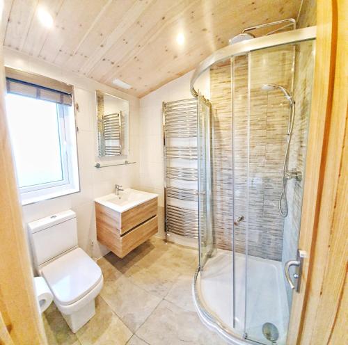 a bathroom with a shower and a toilet and a sink at MAC Skyline Lodges in Balloch