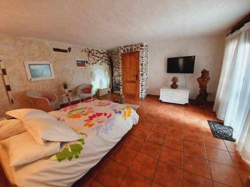 a bedroom with a large bed and a flat screen tv at La Bodeguita Apartamento Santo Domingo in La Guancha