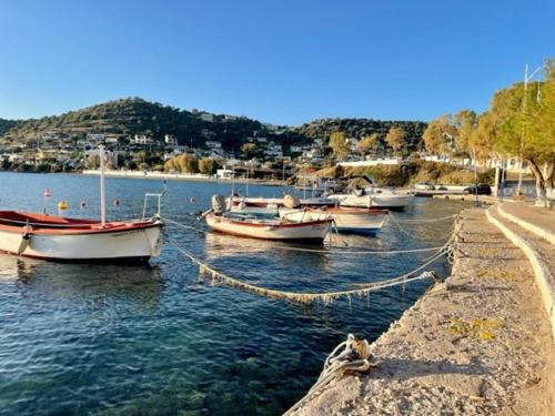 a group of boats docked in a body of water at Socratous House in Salamís