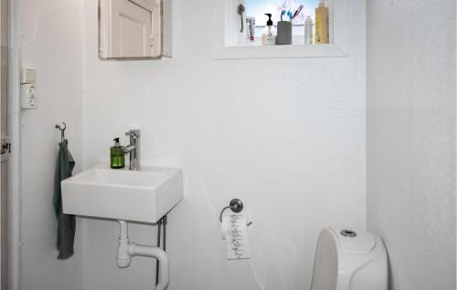 Koupelna v ubytování Gorgeous Home In Olofstrm With Wifi
