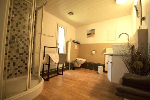 ein Bad mit einer Dusche, einem WC und einem Waschbecken in der Unterkunft Hof Seebrookquelle in Schlesen