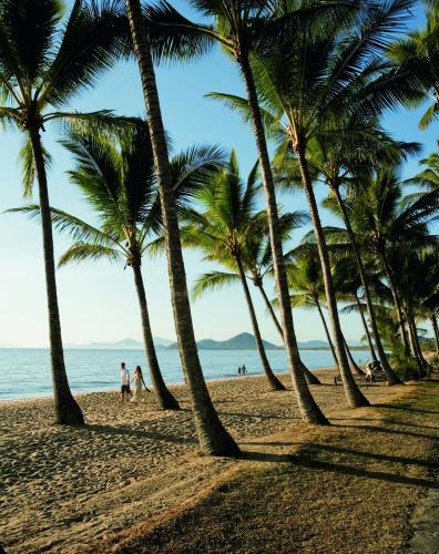 a group of palm trees on a beach at The Reef Retreat Palm Cove in Palm Cove