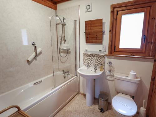 a bathroom with a sink and a toilet and a shower at Teal Lodge in Market Rasen