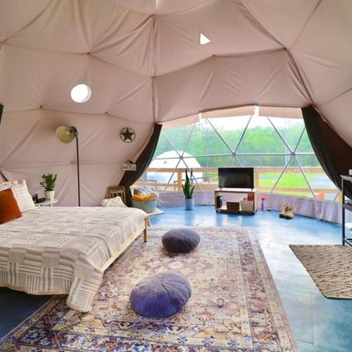 - une chambre avec un lit et une grande tente dans l'établissement The Pines, Glamping Dome, 