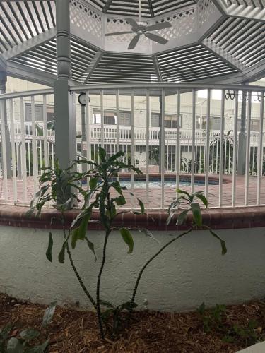 Club Destin Condos photo 58