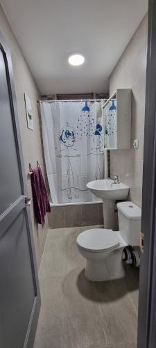 W łazience znajduje się toaleta, umywalka i prysznic. w obiekcie vivienda Acerina w mieście Las Palmas de Gran Canaria