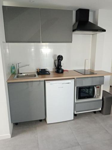 une cuisine avec un évier et un micro-ondes dans l'établissement Studio Anthėor, vue mer, à Saint-Raphaël