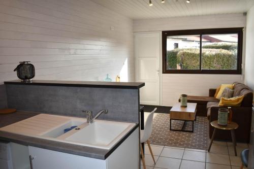 une cuisine avec un évier et un salon dans l'établissement Appartement cosy au calme, à Aureilhan