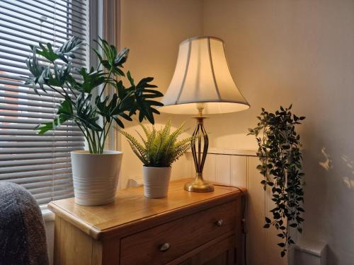 einem Tisch mit zwei Topfpflanzen und einer Lampe darauf in der Unterkunft DYSA Abbey House in Blackpool