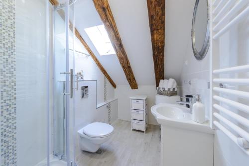 y baño con aseo, lavabo y ducha. en Luxury Deluxe Apartment, en Dubrovnik