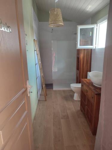 une salle de bain avec un lavabo et des toilettes dans l'établissement Family house carcanaise, à Carcans