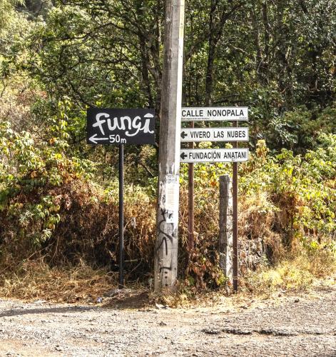 two street signs on the side of a road at Fungi Tepoz Cabins in Tlacotenco