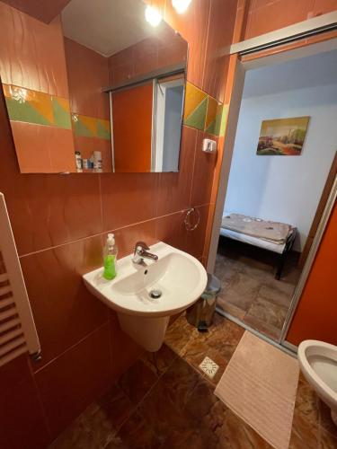 a bathroom with a sink and a mirror and a toilet at Chata Korenný vrch Pezinská Baba in Pezinok