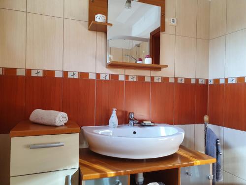 ein Badezimmer mit einem weißen Waschbecken und einem Spiegel in der Unterkunft Trend Baláca Home in Veszprém