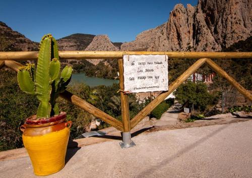 een cactus in een gele pot naast een bord bij La Tienda de Miguel in El Chorro