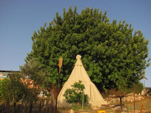 Galilee Bedouin Camplodge