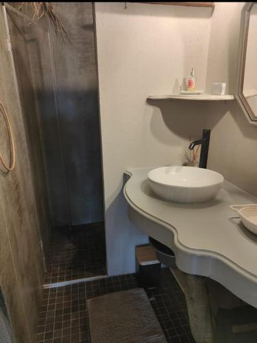 La salle de bains est pourvue d'une douche et d'un lavabo blanc. dans l'établissement Appartement à Pramousquier Le Lavandou, au Lavandou